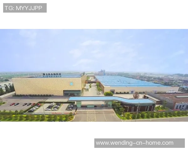 问鼎国际-问鼎国际，企业国际化之路的探索与实践-问鼎国际